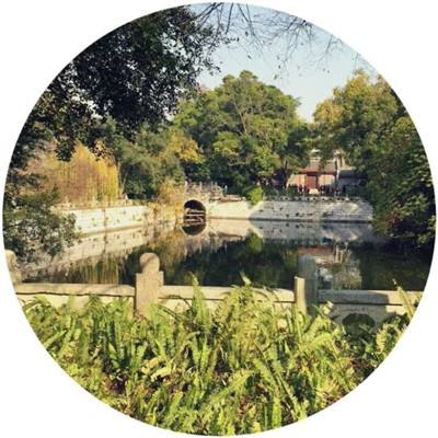 美高额关税令印度反思：面对“百年难遇机会”，如何加强战略自主与国际合作