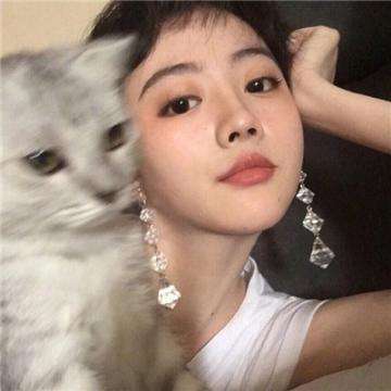 探墓风云破解版内购下载